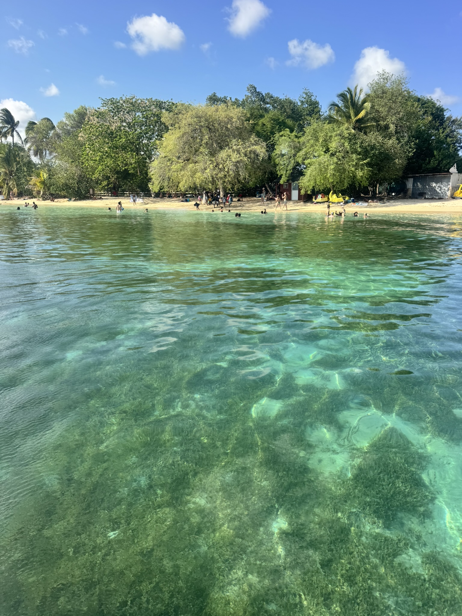 L'équipe Archipel Solutions en Martinique